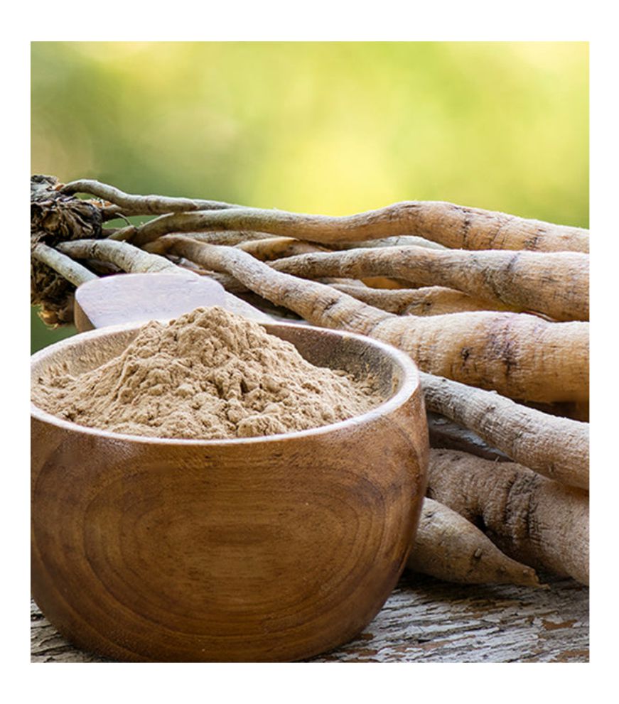 Shatavari Powder 100gm